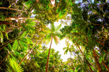 Surf-photography - Matt Jorgensen Photography